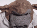 11316.gif